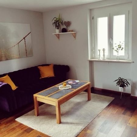 Ferienwohnung Suedschwarzwald Wehr  Exterior foto
