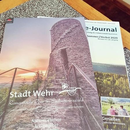 Ferienwohnung Suedschwarzwald Wehr  Exterior foto
